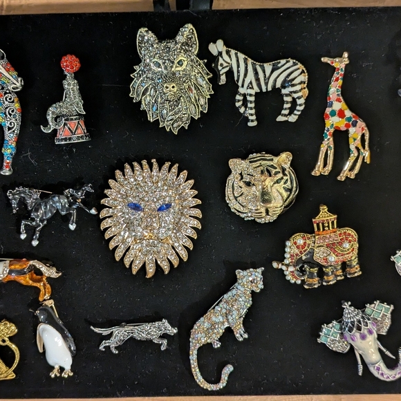 Colorful Brooch Collection - Picture 11 of 15